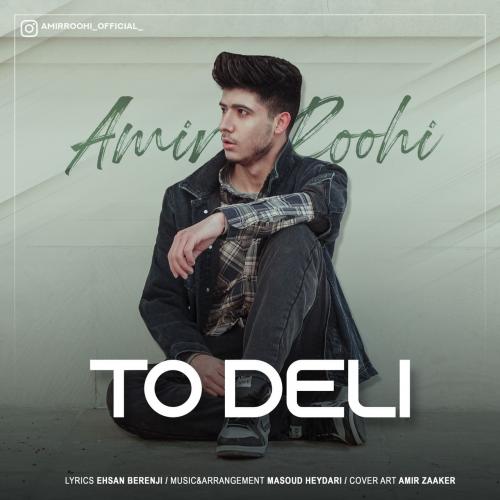 امیر روحی تو دلی